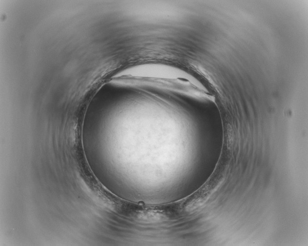 X0000088910451200706291533