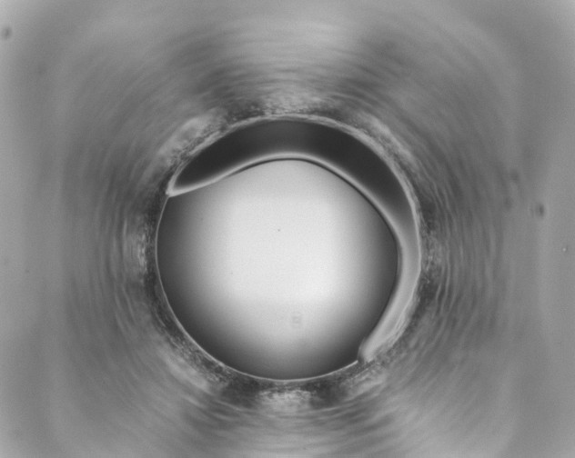 X0000088910452200706291533