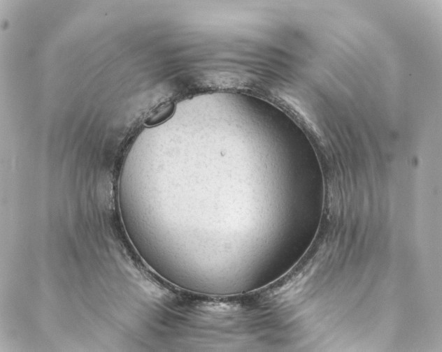 X0000088910453200706291533