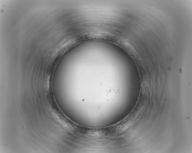 X0000088910454200706291534