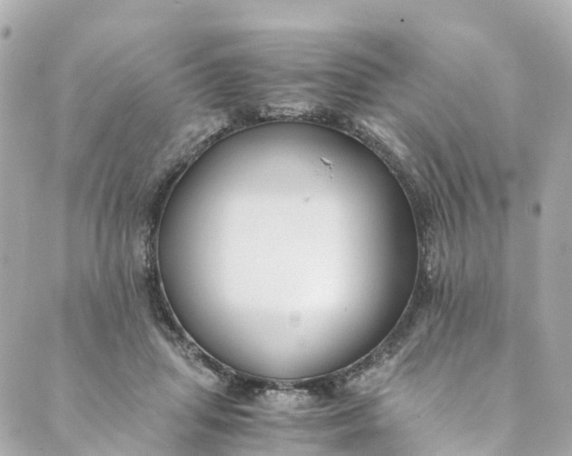 X0000088910455200706291534