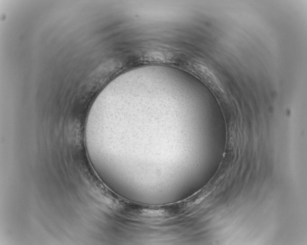 X0000088910457200706291534