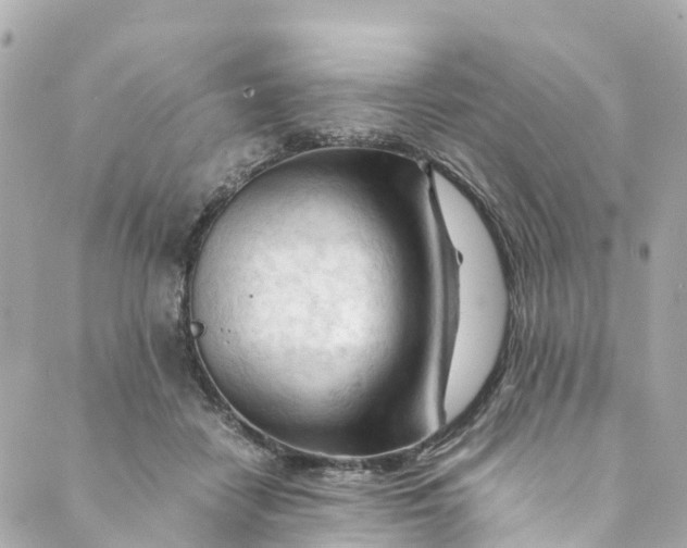 X0000088910458200706291534