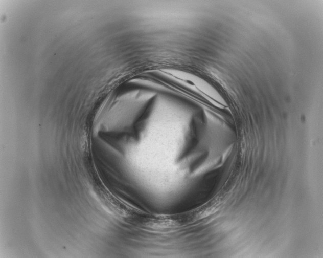 X0000088910459200706291534