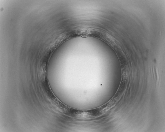 X0000088910460200706291534