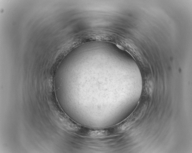 X0000088910461200706291534