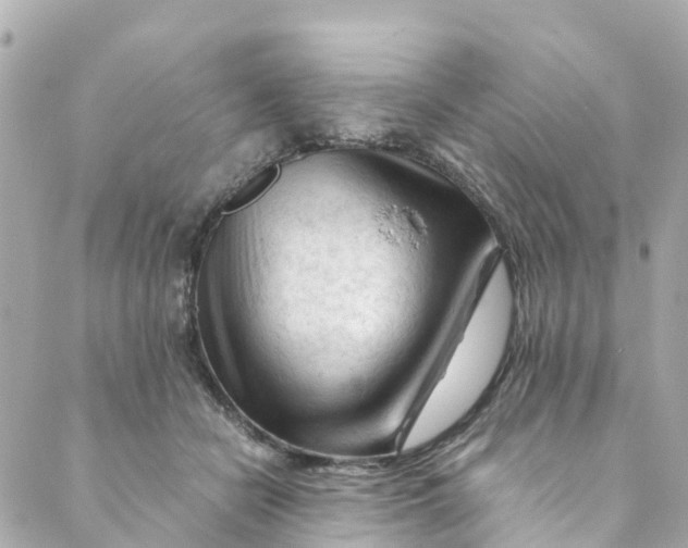 X0000088910462200706291534