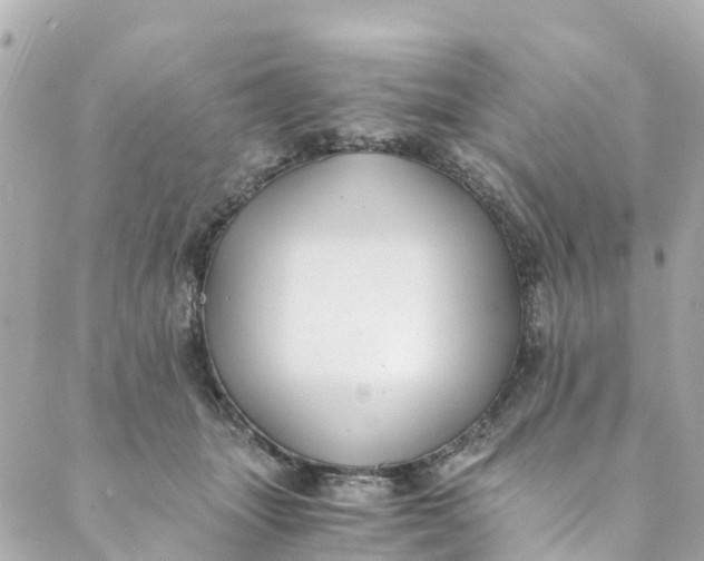 X0000088910463200706291534