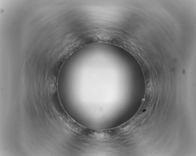 X0000088910464200706291534