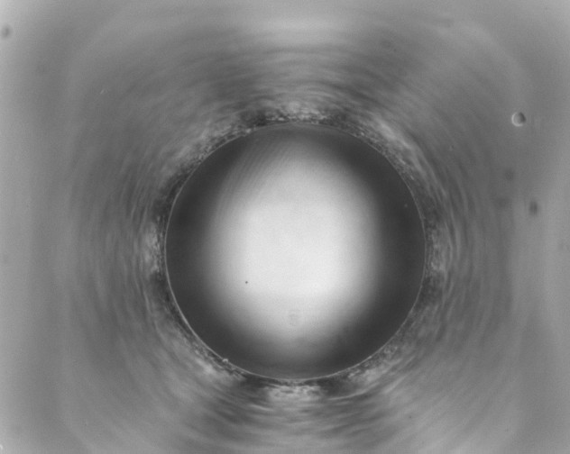 X0000088910465200706291534