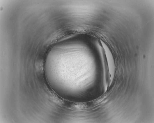 X0000088910466200706291534