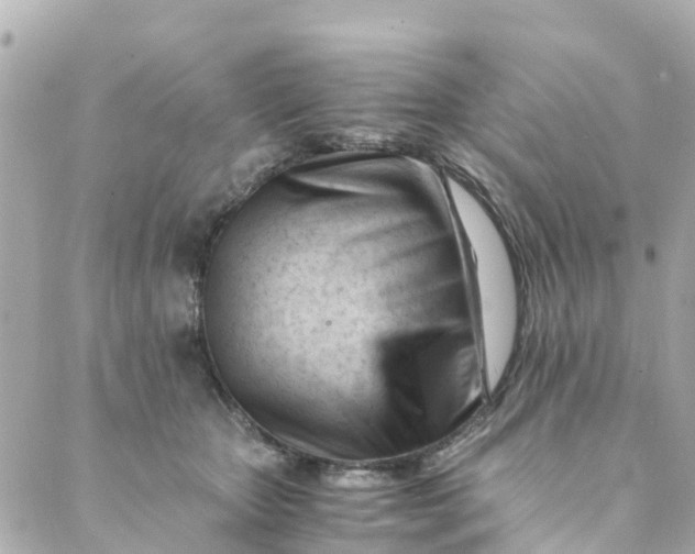 X0000088910467200706291534