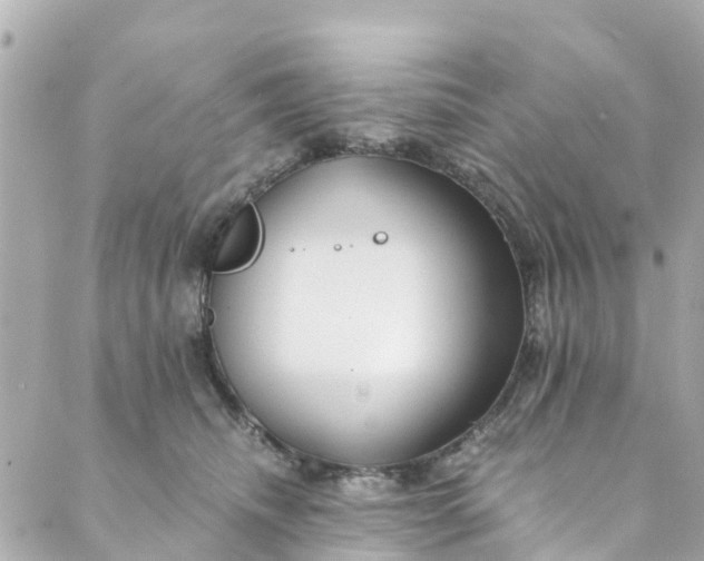 X0000088910468200706291534