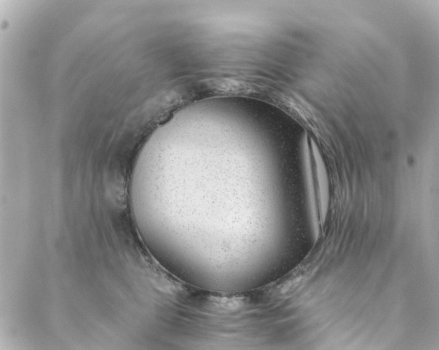 X0000088910469200706291534