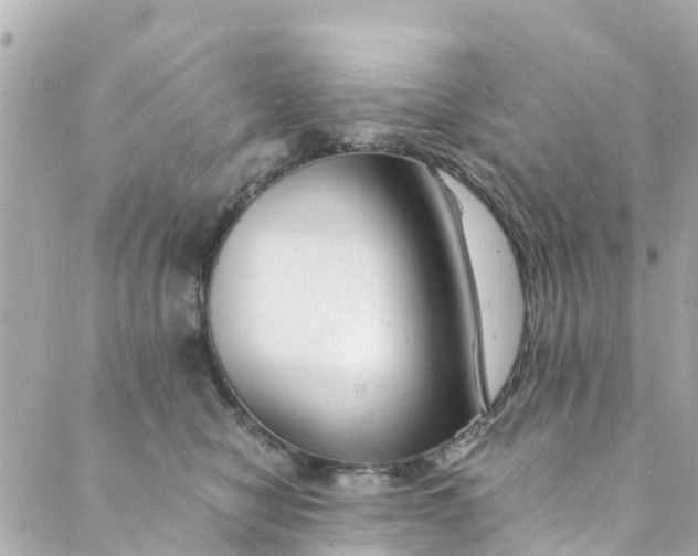 X0000088910470200706291534