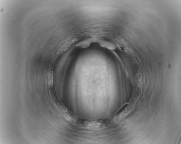 X0000088910471200706291534