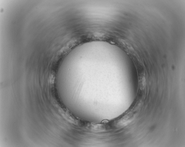 X0000088910472200706291534