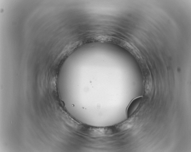 X0000088910473200706291534