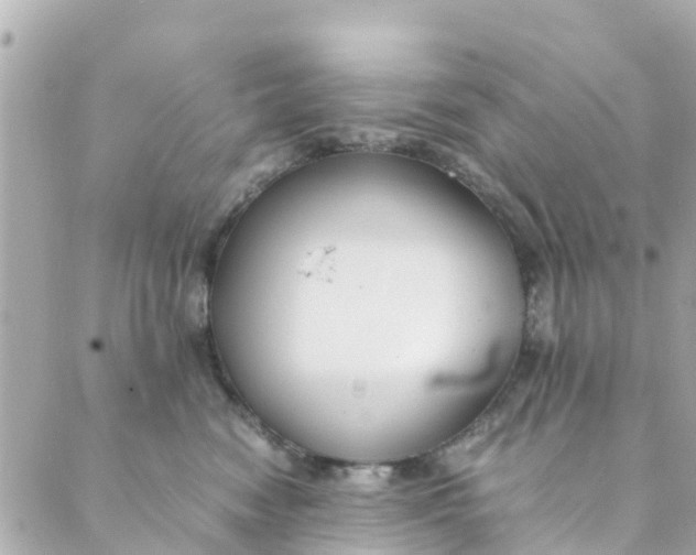 X0000088910474200706291534