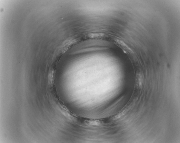 X0000088910475200706291534