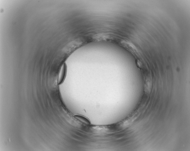 X0000088910477200706291534