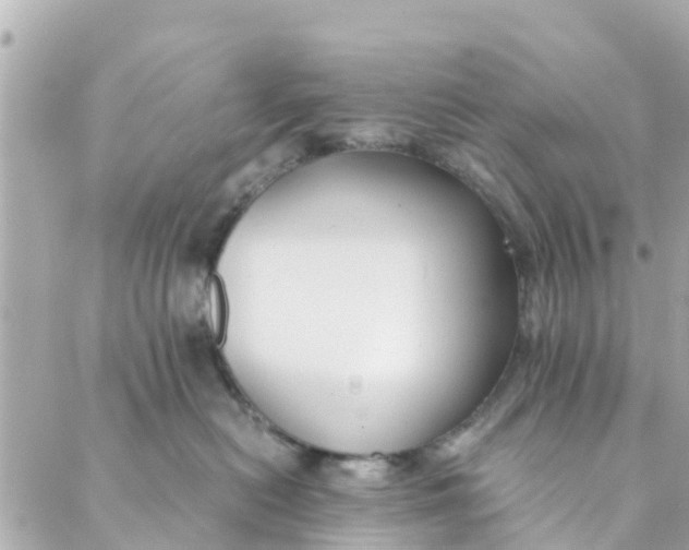 X0000088910478200706291534