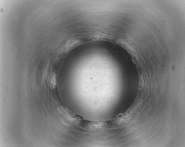 X0000088910479200706291534