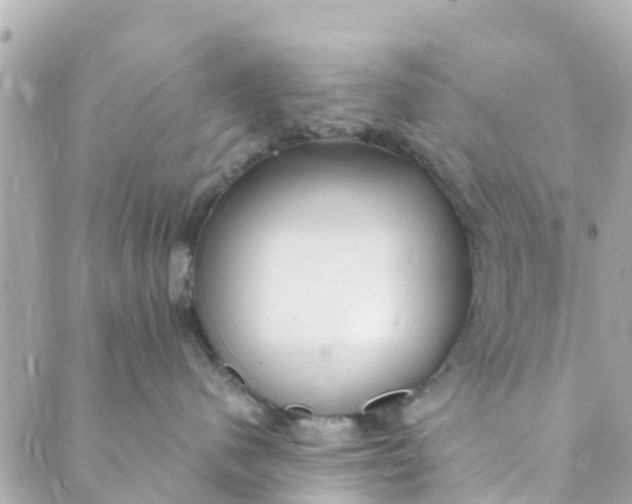 X0000088910480200706291534