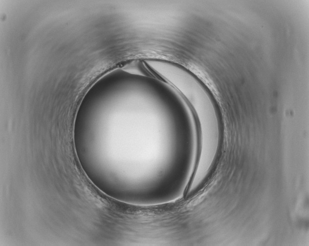 X0000088910481200706291533