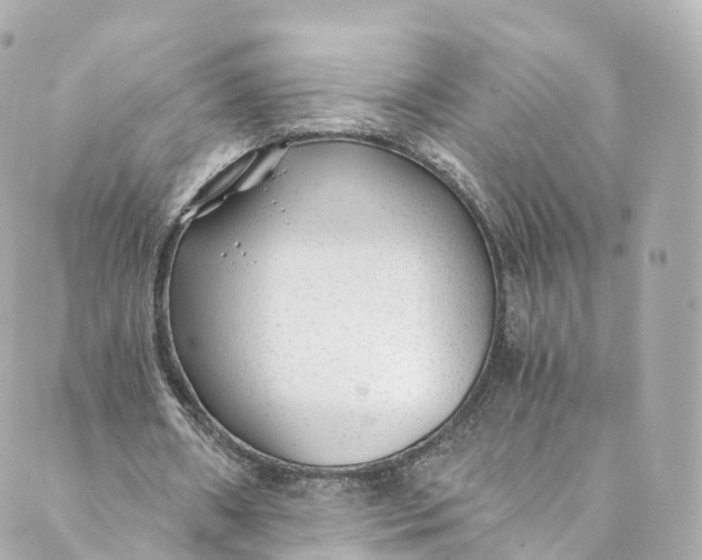 X0000088910482200706291533