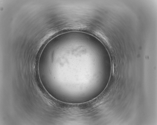 X0000088910483200706291533