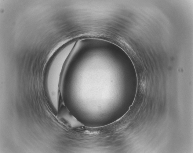 X0000088910484200706291533