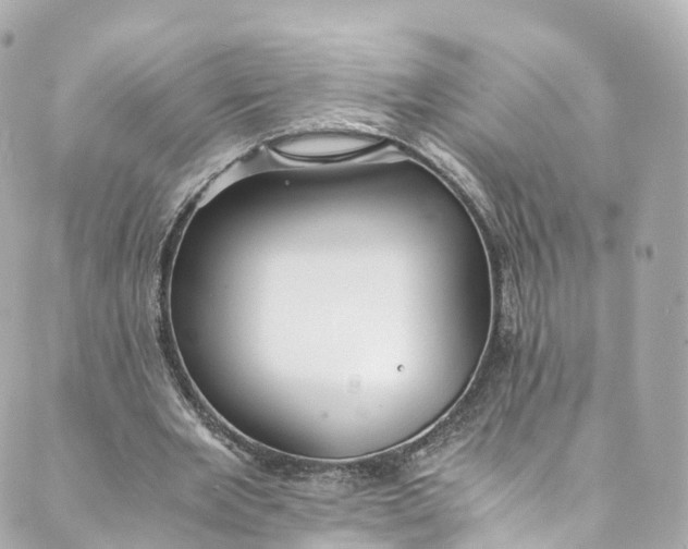 X0000088910485200706291533