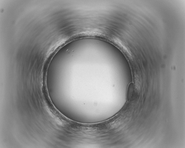 X0000088910486200706291533