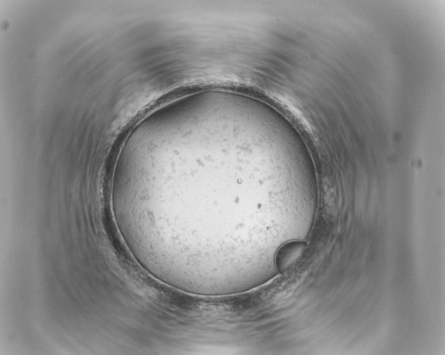 X0000088910487200706291533