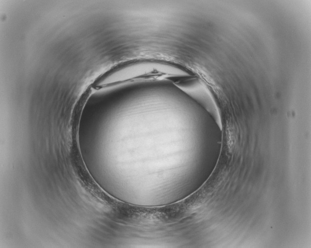 X0000088910488200706291533