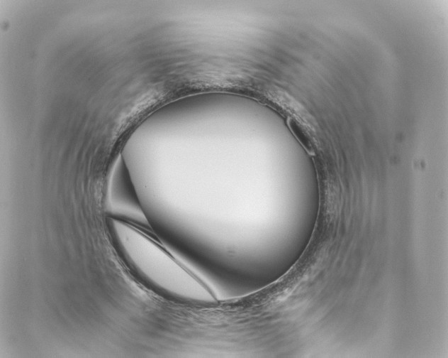 X0000088910489200706291533