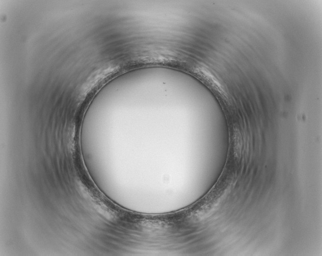 X0000088910490200706291533