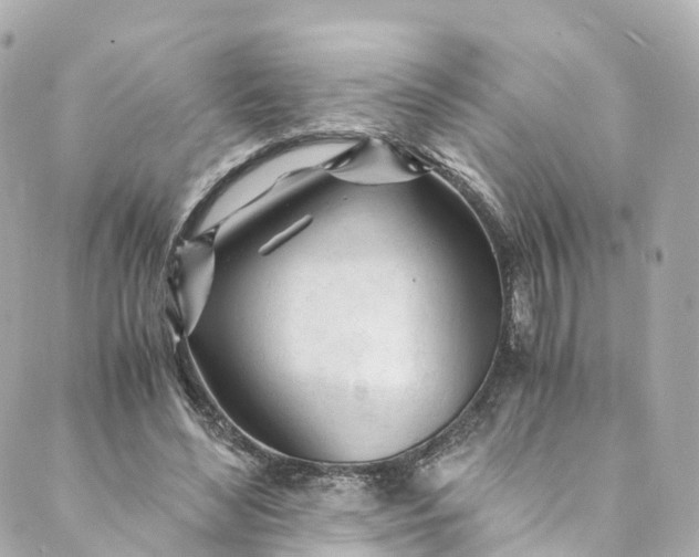 X0000088910492200706291533