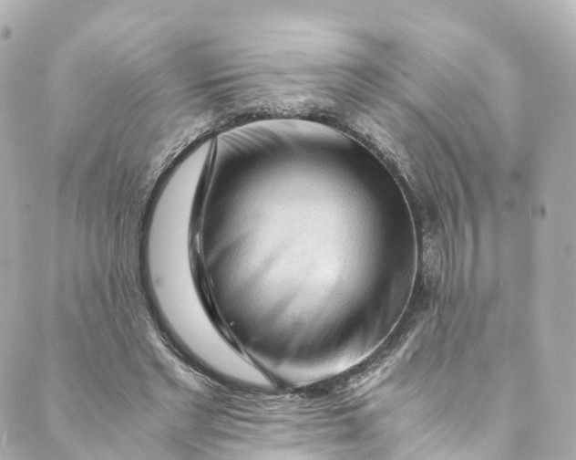 X0000088910493200706291533