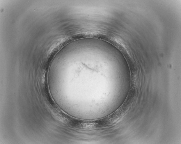 X0000088910495200706291533