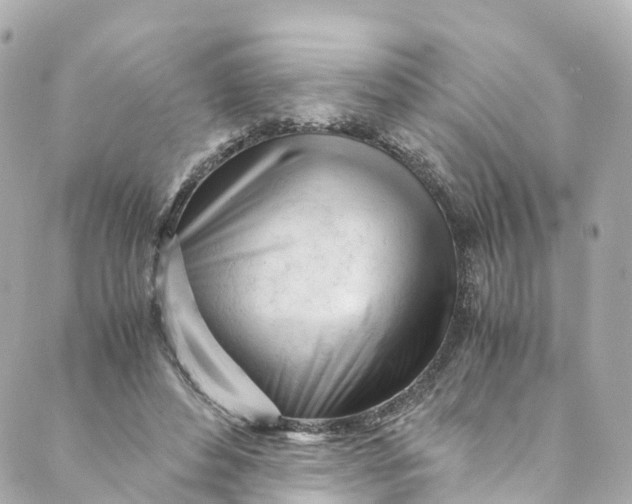 X0000088910496200706291533