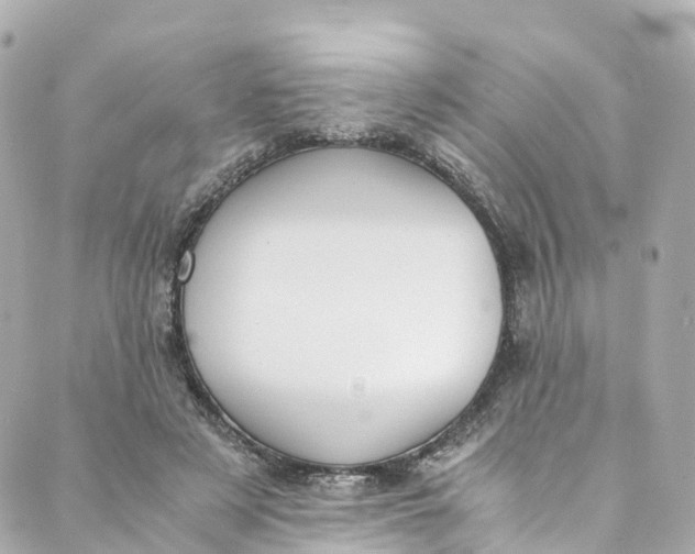 X0000088910497200706291533