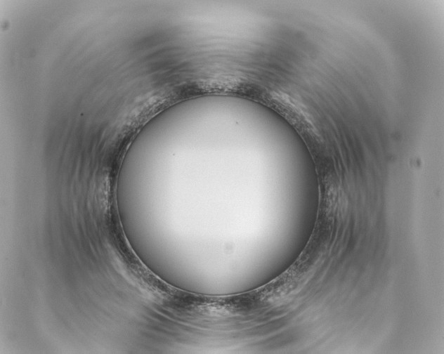 X0000088910498200706291533