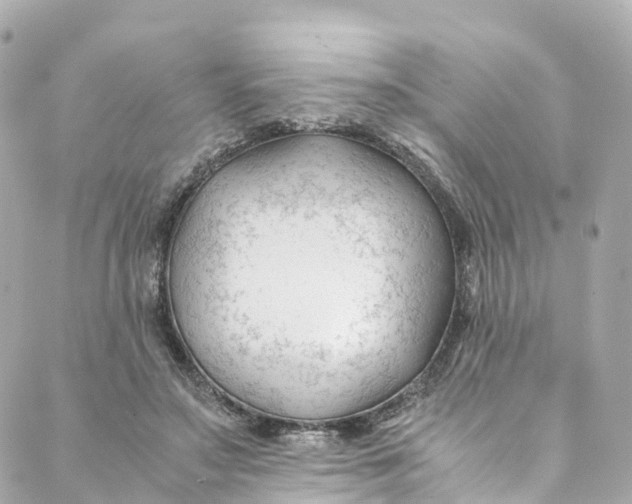 X0000088910499200706291533