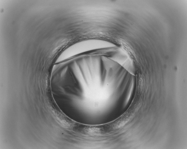 X0000088910501200706291533