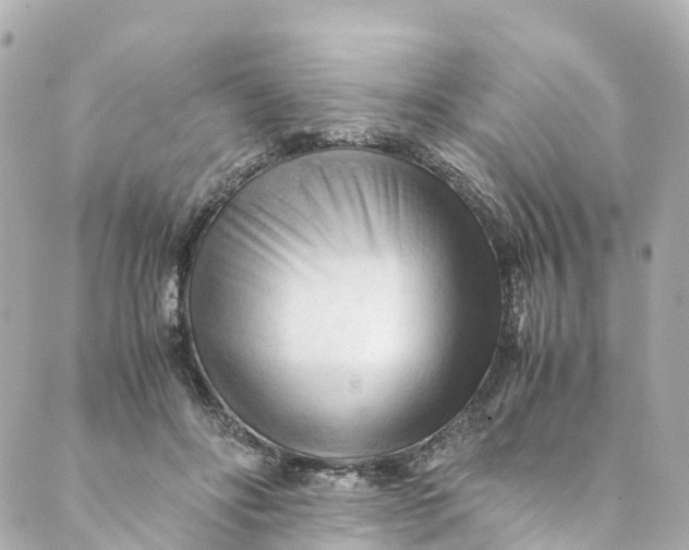 X0000088910502200706291533