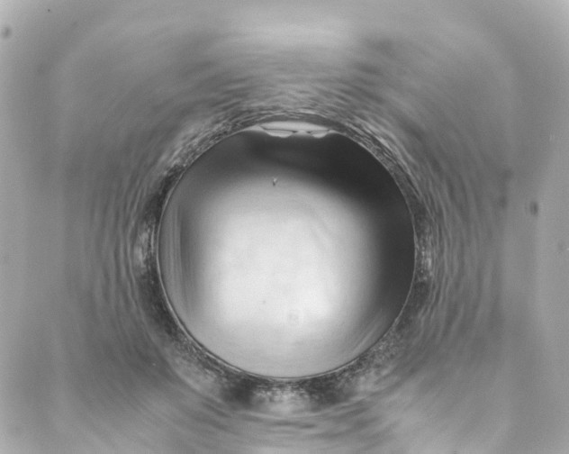 X0000088910503200706291533