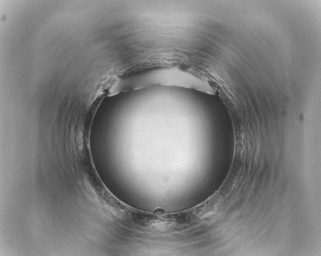 X0000088910504200706291533