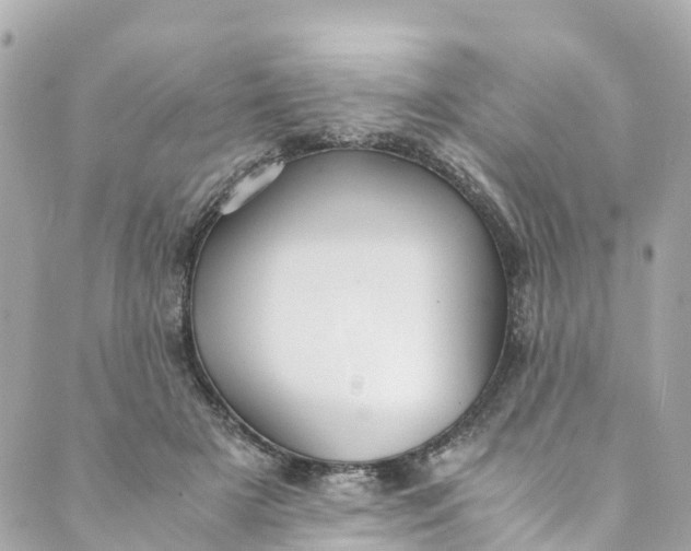 X0000088910505200706291533